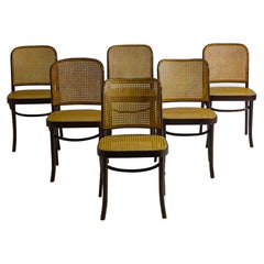 Rare ensemble de 6 chaises Prague / 811 de Josef Hoffman pour Thonet, années 1960