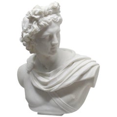 Vintage Lifesize Marble Bust of Apollo