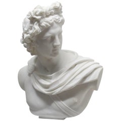 Busto in marmo di Apollo a grandezza naturale
