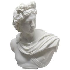 Lifesize Marble Bust of Apollo 12