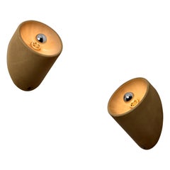 Model 235 Wall or Ceiling Lights by Cini Boeri for Arteluce