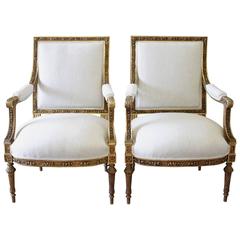 Antique Pair of 19th Century Louis XVI Carved Giltwood Chairs
