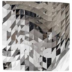 Mashing Mesh Object #MS-4 Stainless Steel Wall Mirror Decoration Sculpture