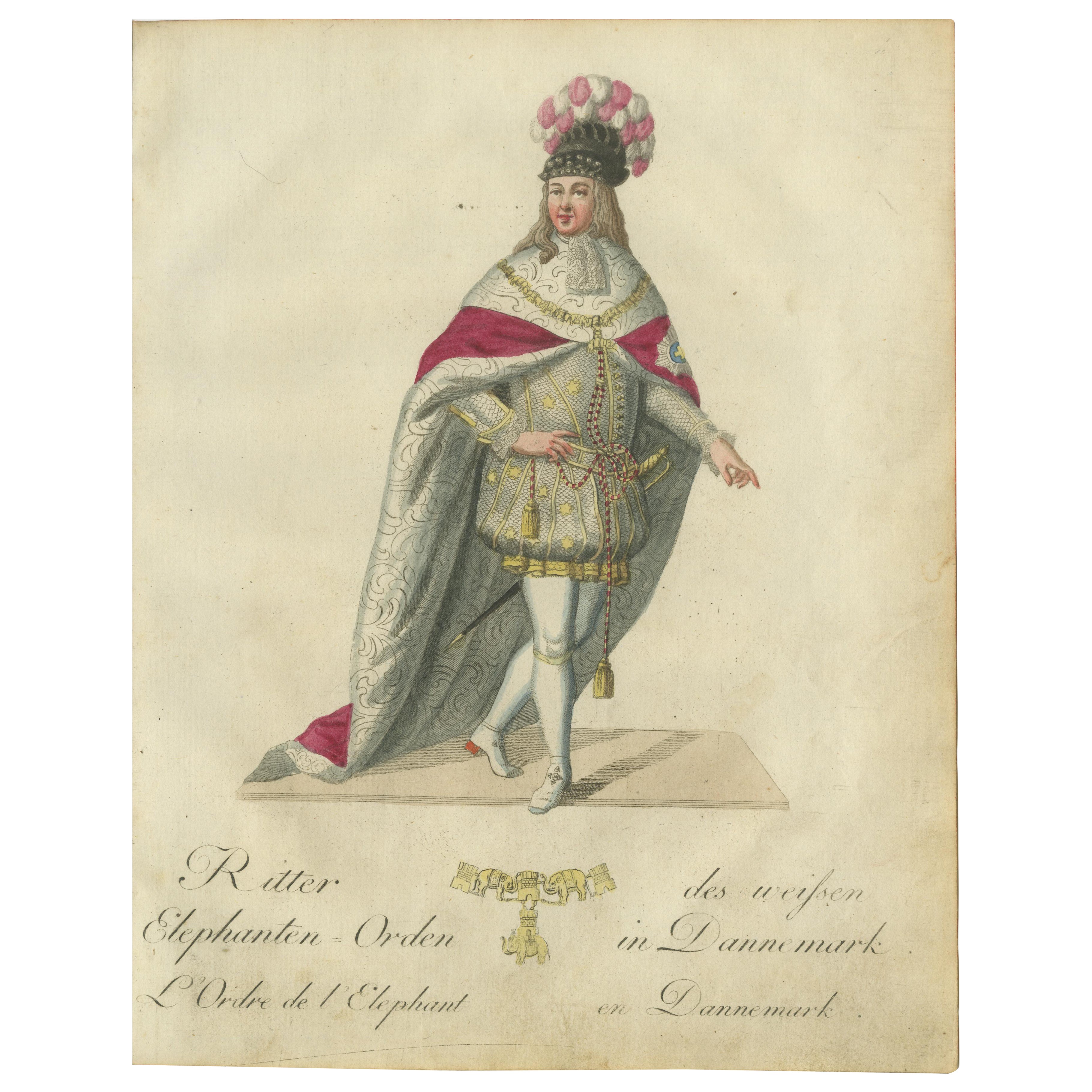 Caballero de la Orden del Elefante: Elegancia caballeresca danesa del siglo XVIII