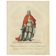Knight of the Order of Dannebrog: 18th-Century Danish Chivalric Elegance