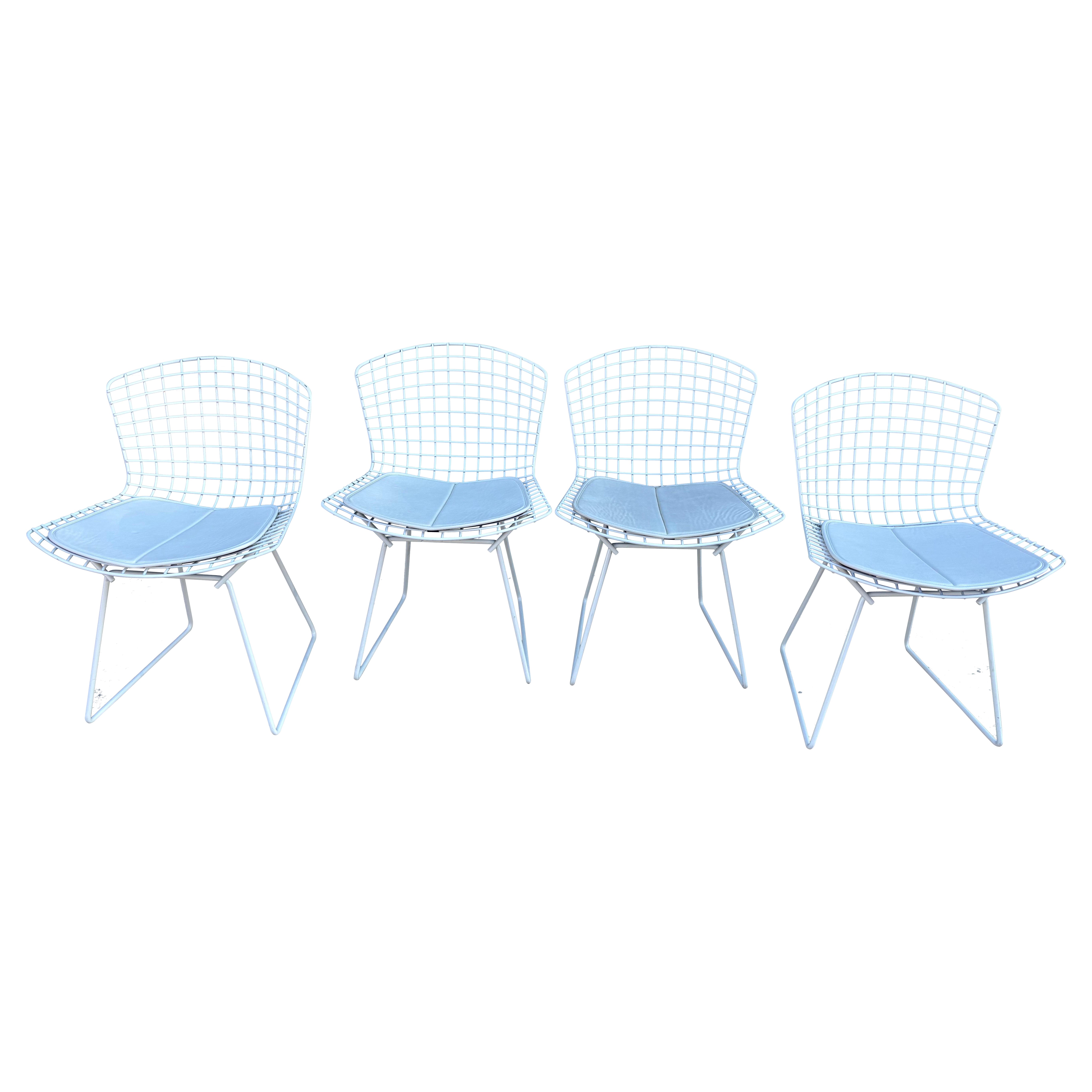 Sillas de comedor Bertoia para Knoll