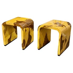 Pair of Exotic Wood Side Tables or Stools