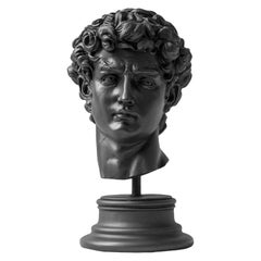 Schwarz David Büste Museum Replica kultivierten Marmor 'Florenz Accademia G.' 12,3"