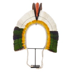 An Amazon Indigenous Kayapo feather headdress