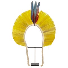 An Amazon Indigenous Kayapo feather headdress