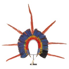 A Kayapo Amazon Indigenous feather headdress