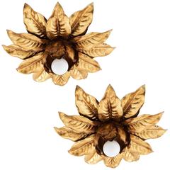 Pair of Italian Light Fixtures, Gold Bronze, 1960s