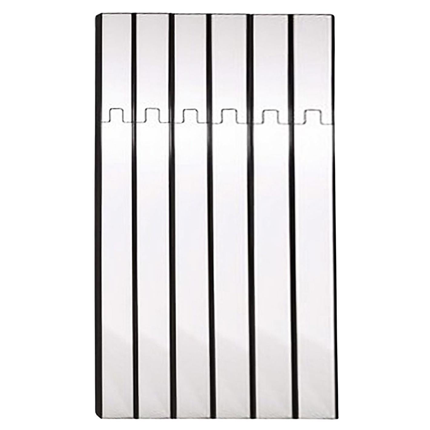 Luciano Bertoncini for Elco Set of 6 Wall Mirrors and Coat-Rack, "Gronda", 1970s