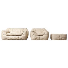 Ligne Roset leather sofa set