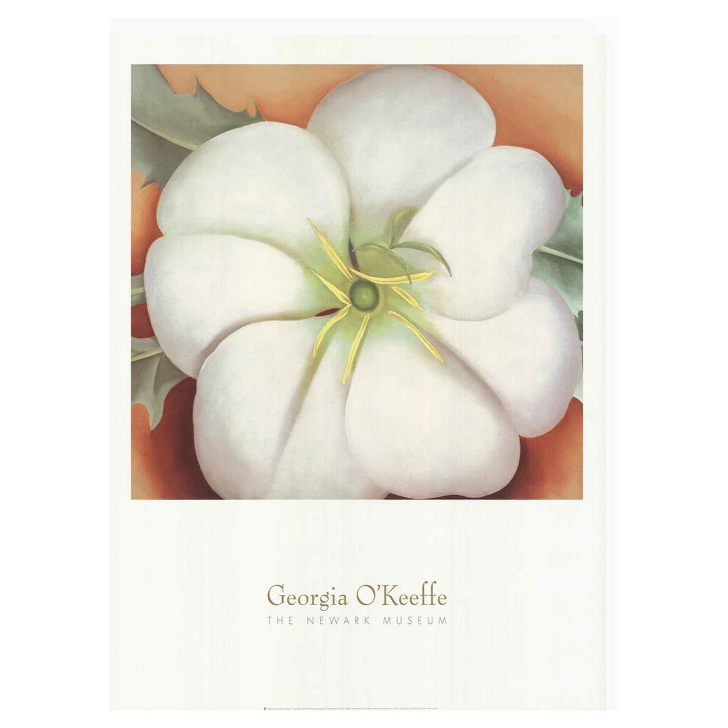 1995 Georgia O'Keeffe - Il Museo di Newark - Poster originale d'epoca in vendita