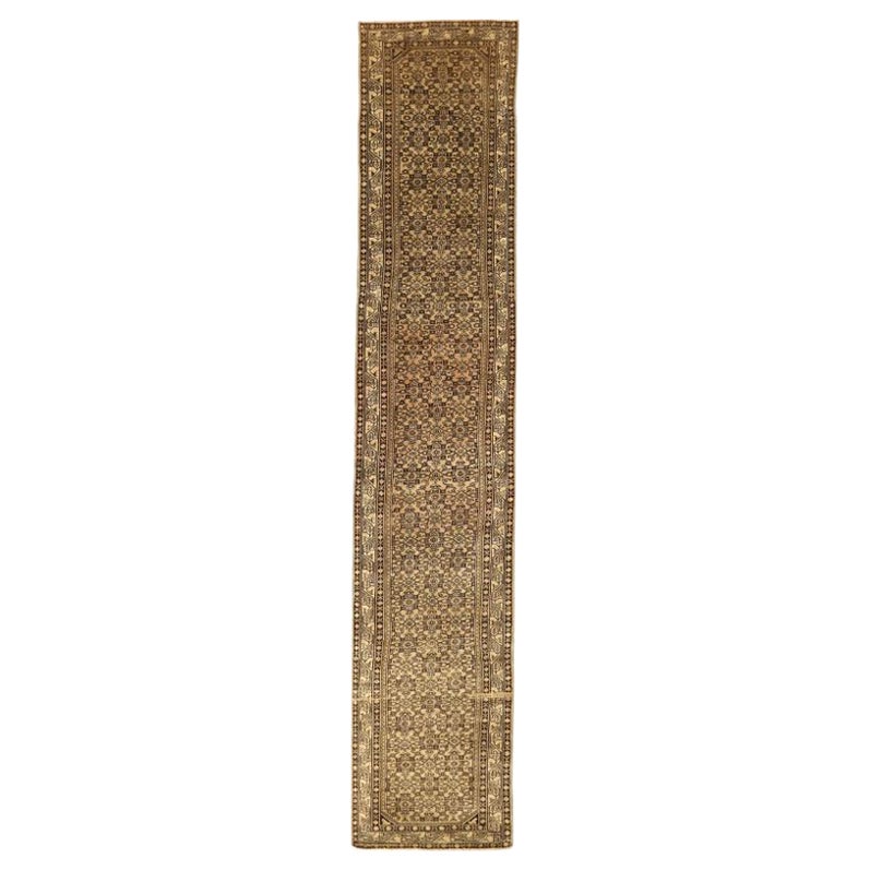 Persian Malayer Runner Rug - Wool Brown Ivory 73989 For Sale