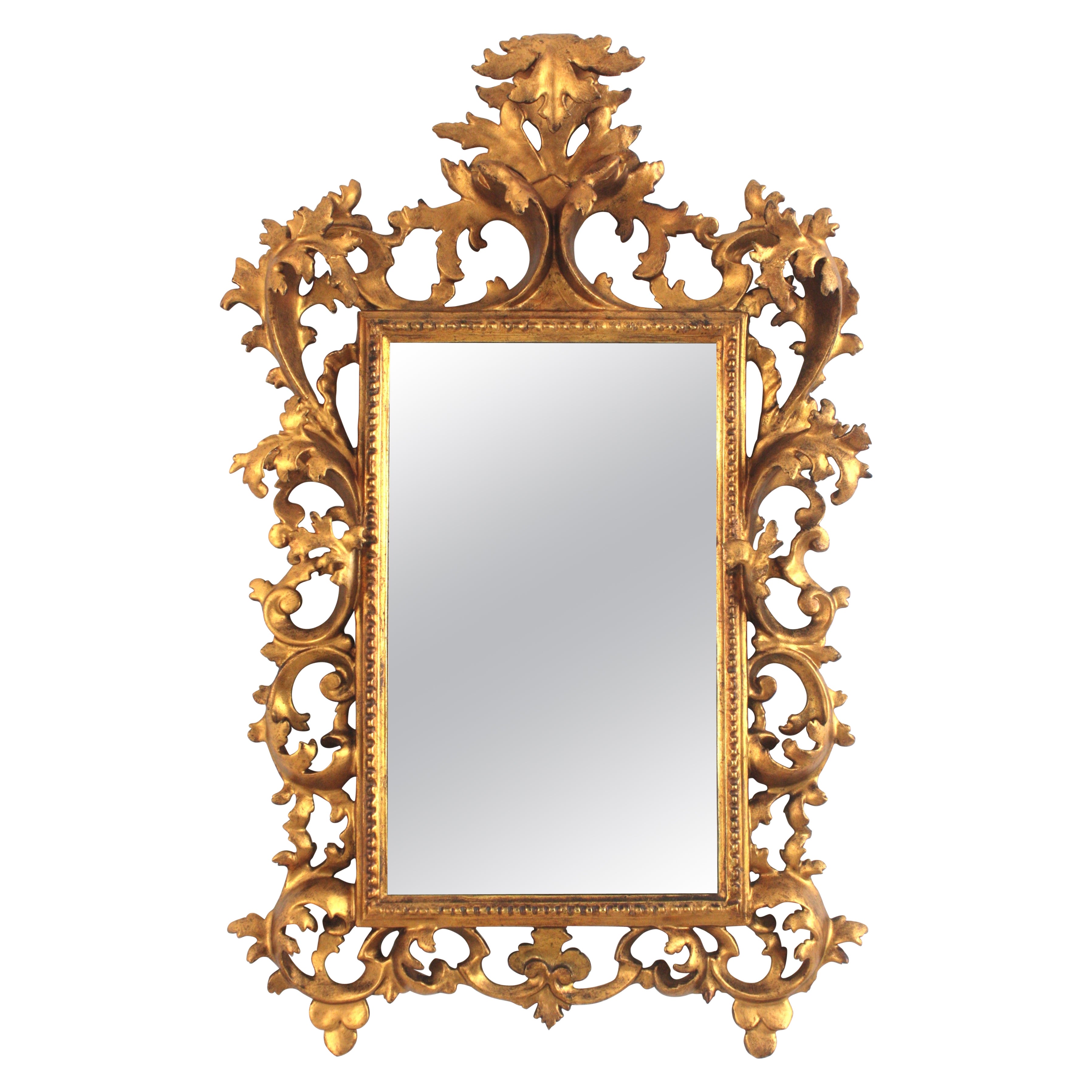 Spanish Rococo Giltwood Mirror with Foliage Carving Frame For Sale