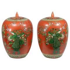 Antique 19th century Exquisite Pair of Persimmon Porcelain Ginger Jars- Qing Dynasty