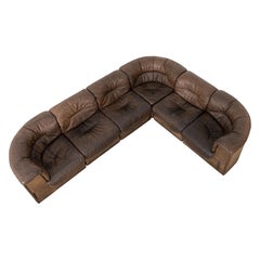 De Sede DS-11 Modular Sofa Neck Leather Brown 1970 Sectional Mid Century Modern