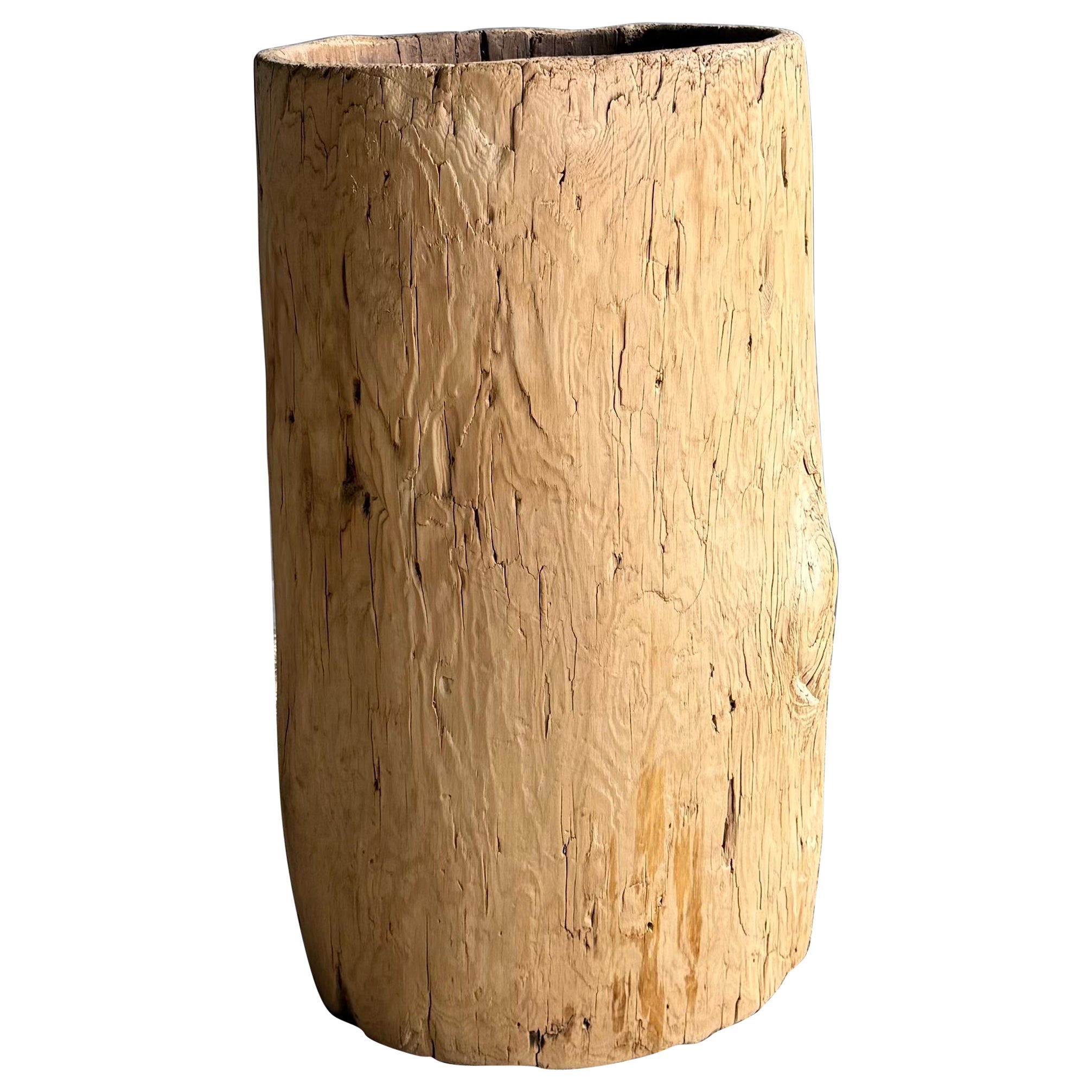 Old Hollowed Out Tree Stump Vessel