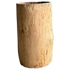 Old Hollowed Out Tree Stump Vessel