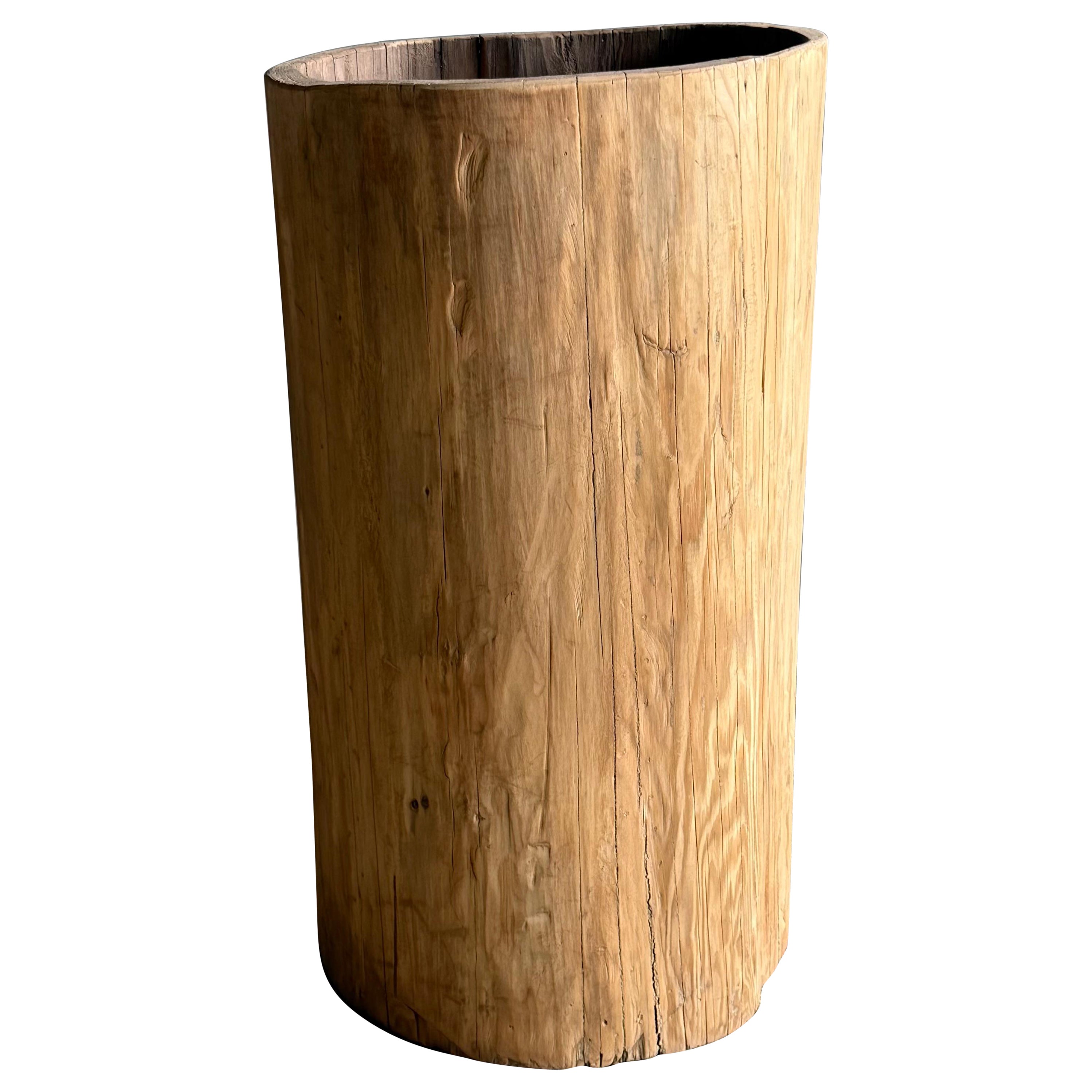 Old Hollowed Out Tree Stump Vessel