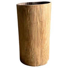 Old Hollowed Out Tree Stump Vessel