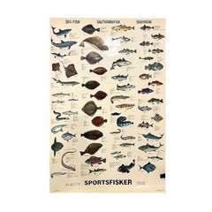 Sel de poisson de mervandsfisk  Tableau mural à impression d'affiches enroulables, Danemark, années 1960