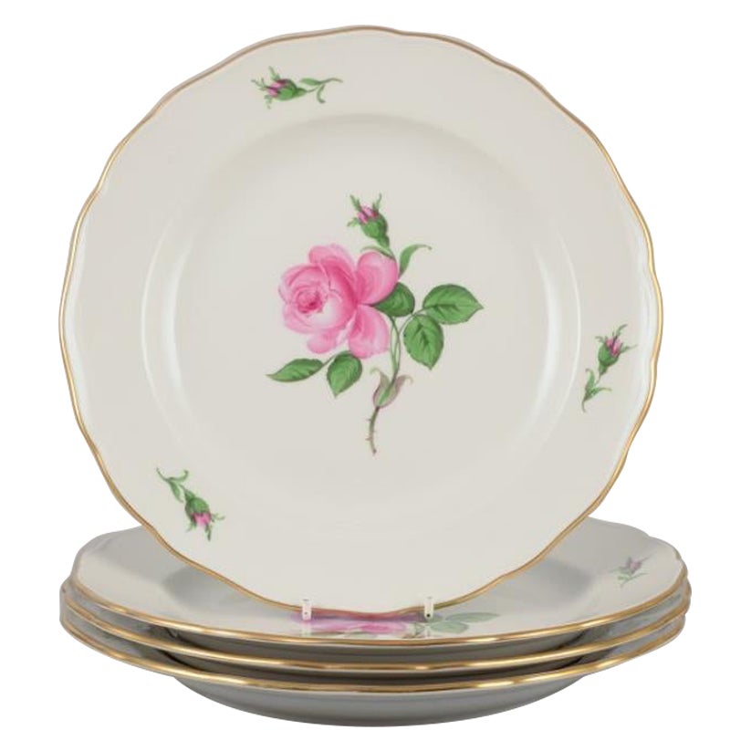 Meissen, Germany. Four dinner plates with a motif of a pink rose. 1920/30s. For Sale