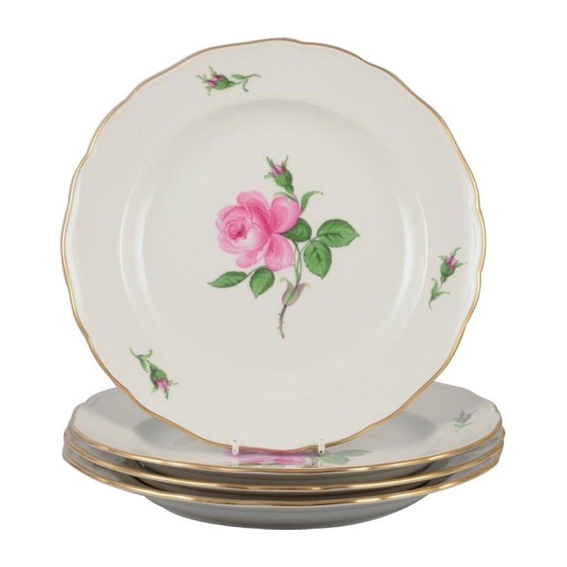 Meissen, Germany. Four dinner plates with a motif of a pink rose. 1920/30s.