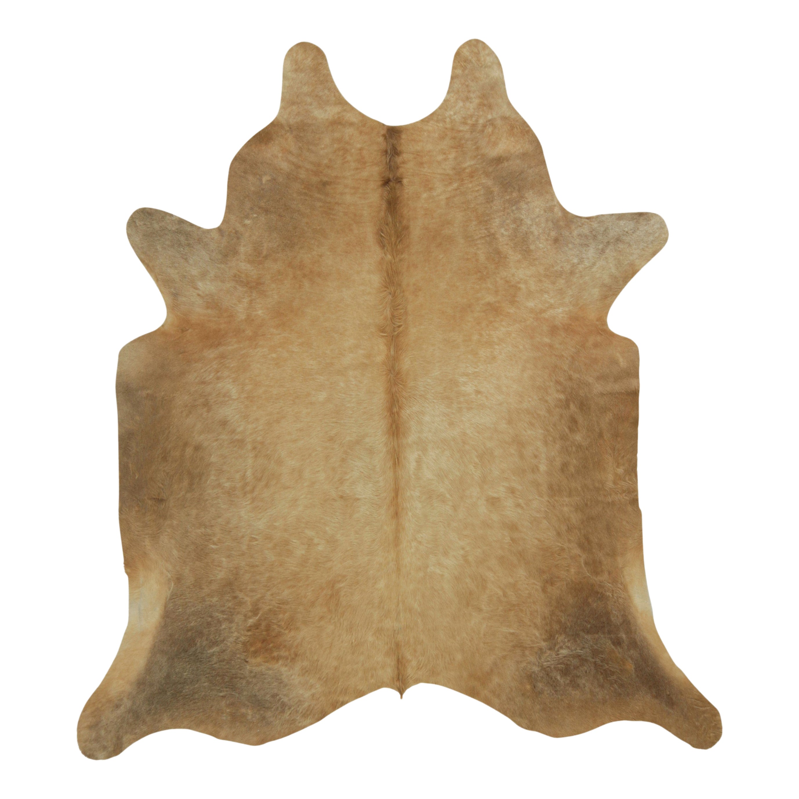 Rug & Kilim’s Extra Large Cowhide Rug in Brown, Gray and White Tones