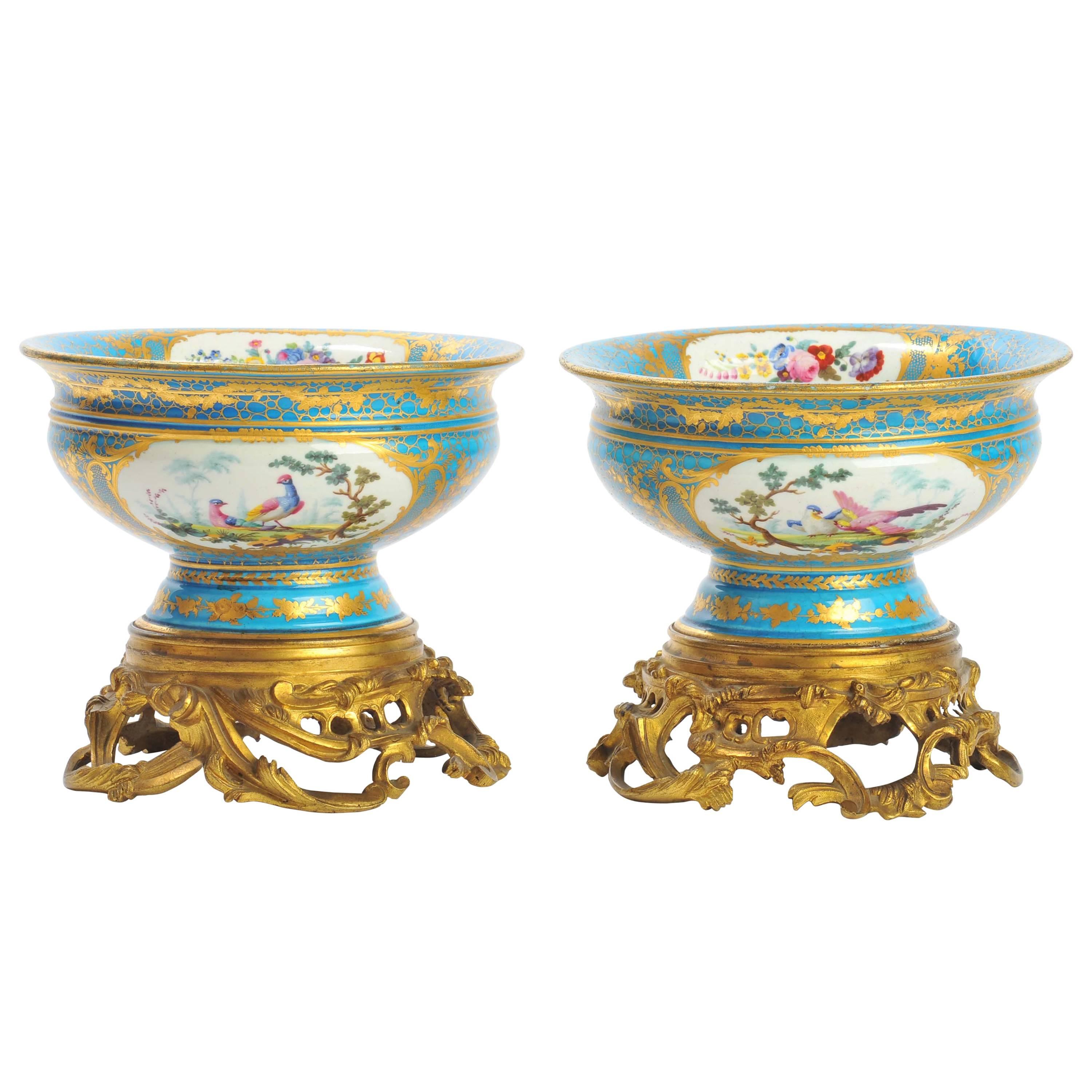 Pair of 19th Century Sevres Jardineres