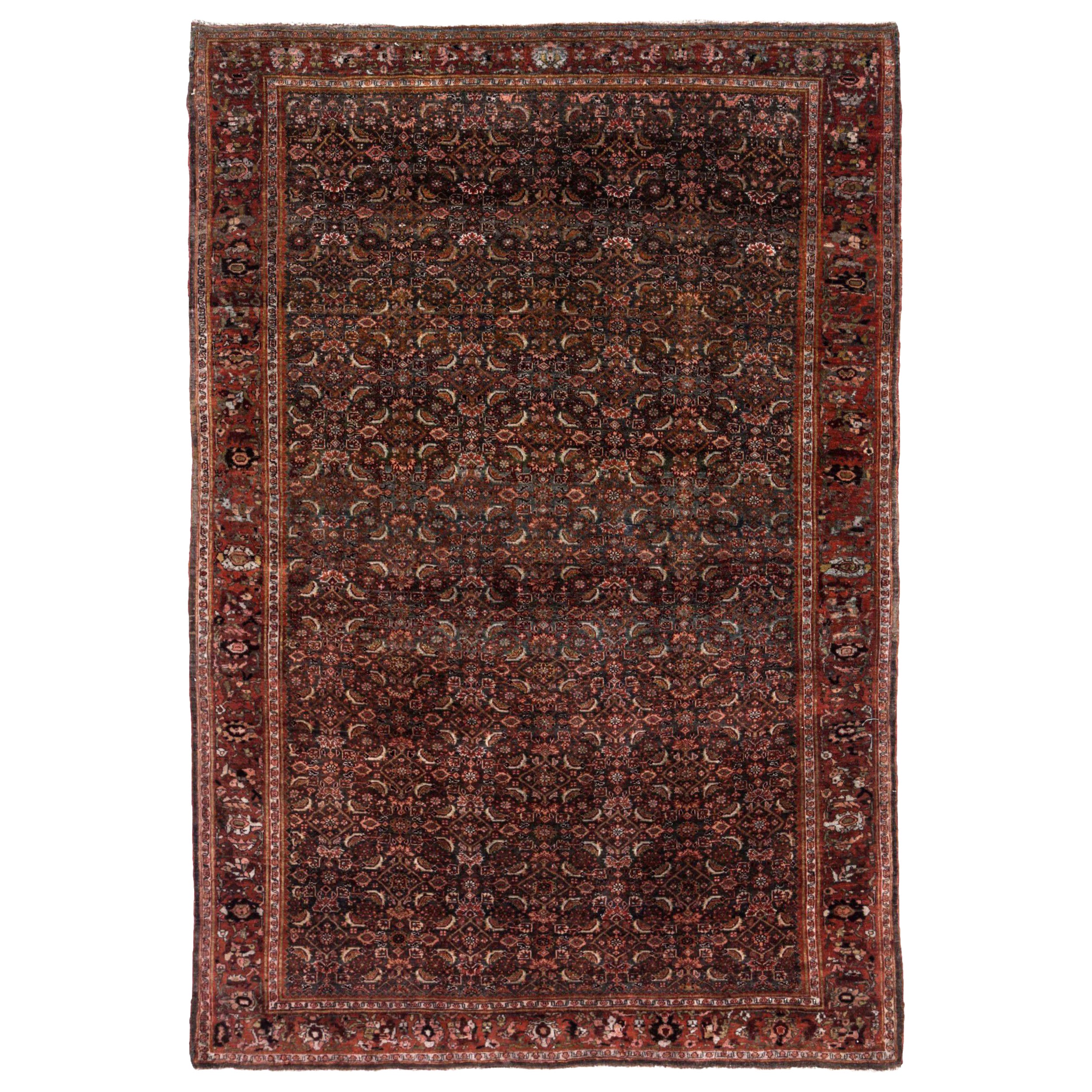 Tapis persan Bijar Small - Laine Brown Ivory Red Design - 91143