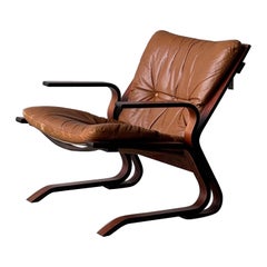 Mid-Century Norwegian Armchair by Oddvin Rykken for Rybo and Co.