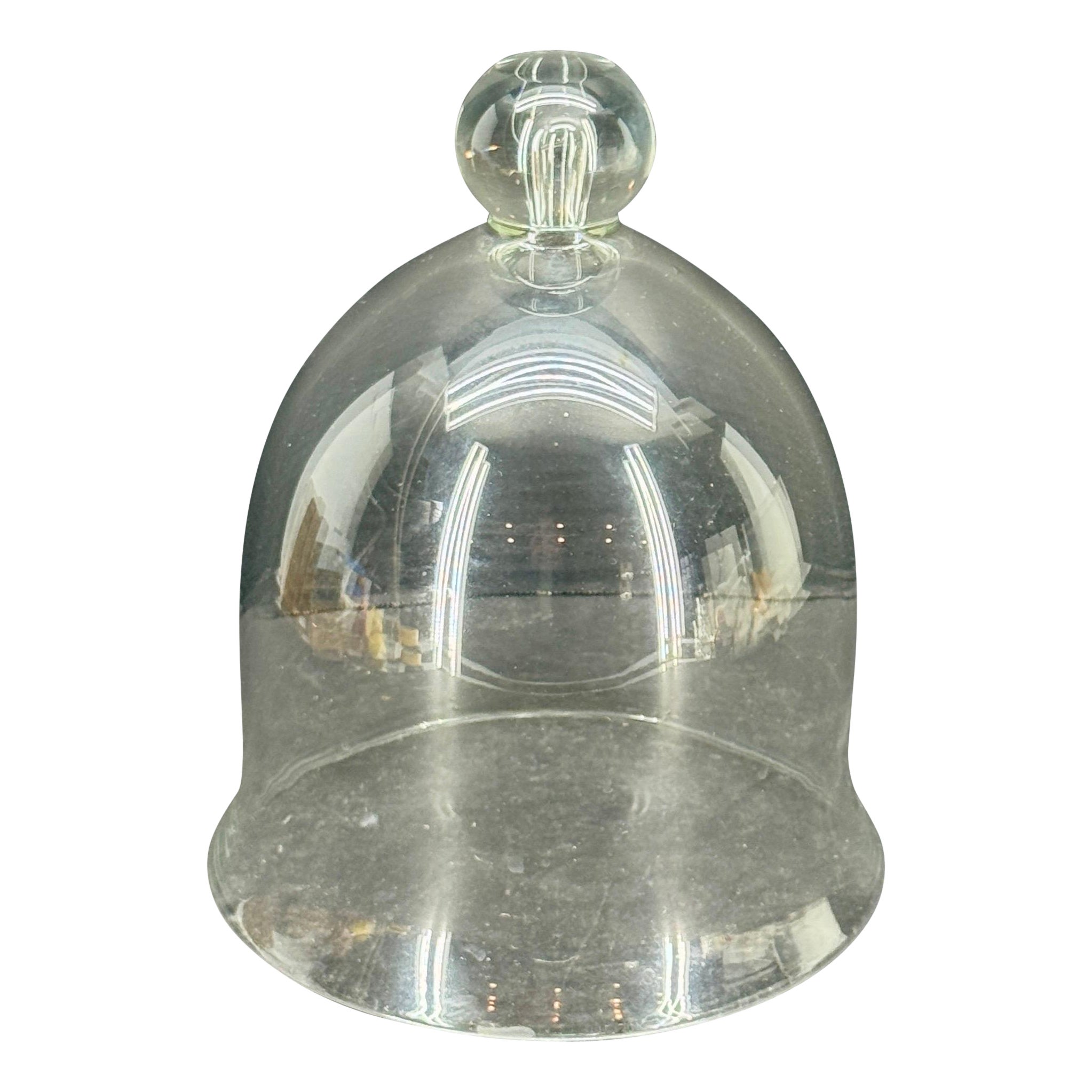Gran cúpula de cristal francesa vintage