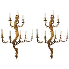 Monumental Pair of Louis XV Style Bronze Eight-Arm Sconces