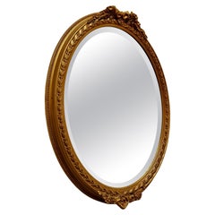 Very Pretty 19th Century French Oval Gilt Wall Mirror