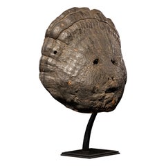 Nepalesisches Ritual Große Lingzhi-Pilz-Terai-Pilz-Maske.