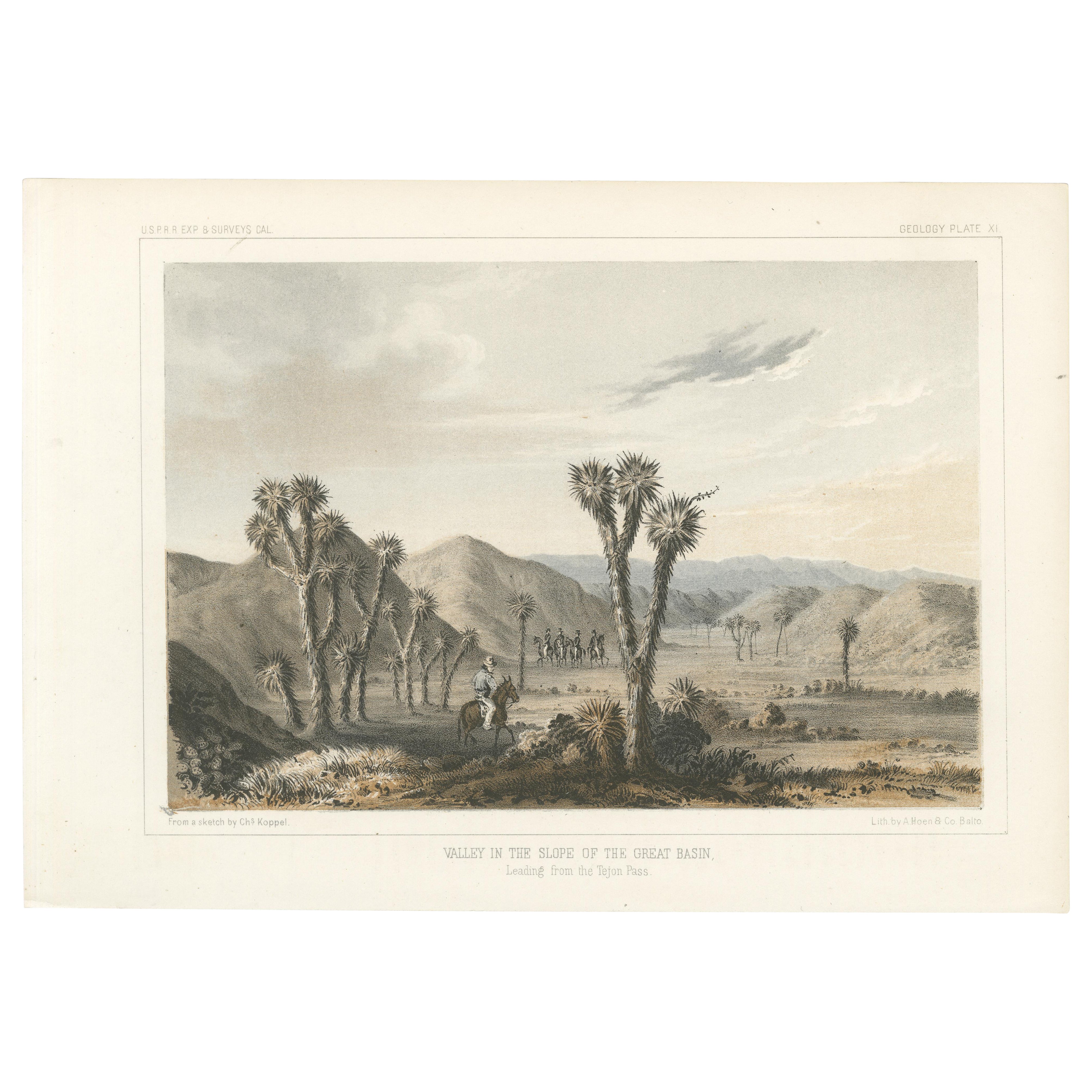 Litografía tintada de Valle en la ladera de la Gran Cuenca en California, 1856