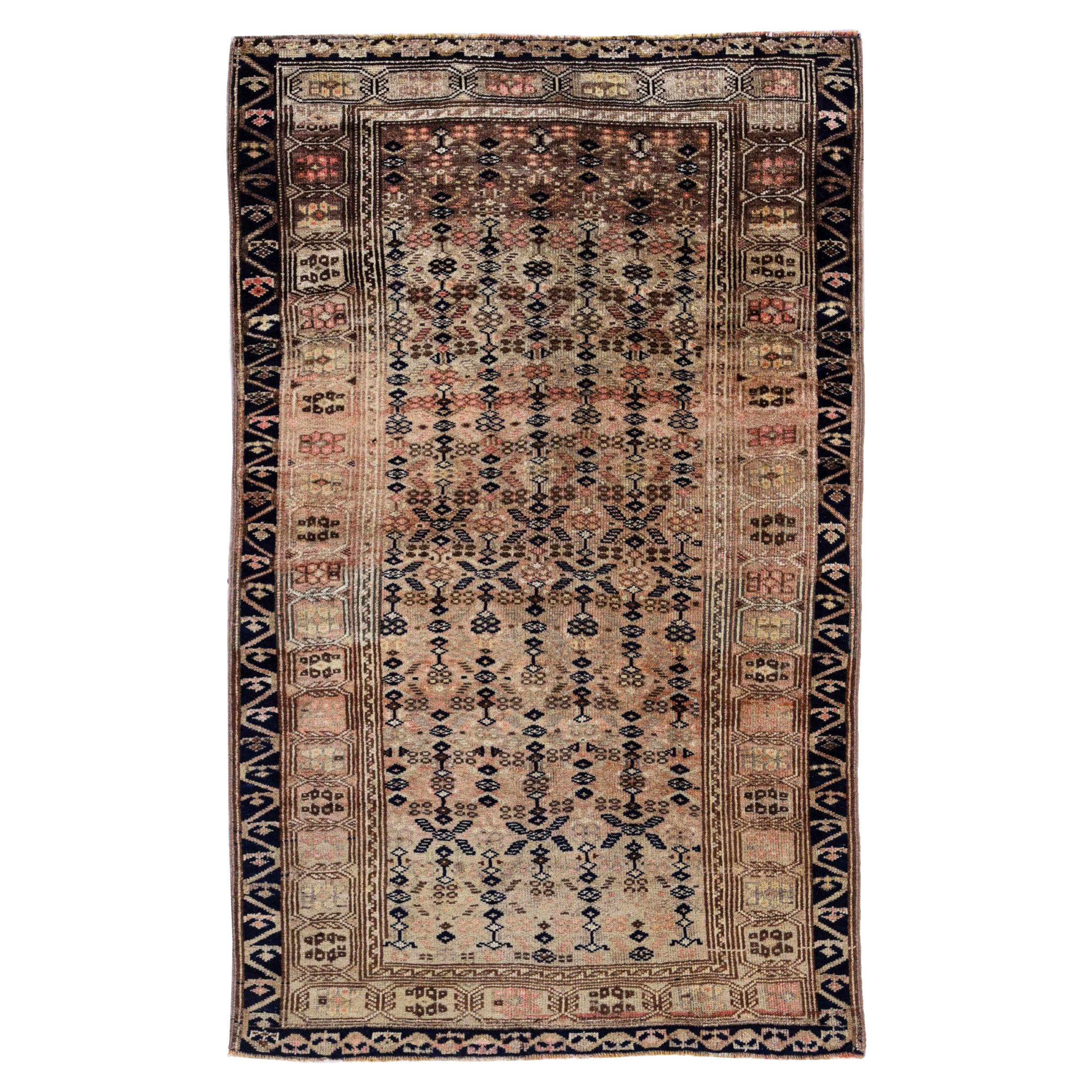 Tapis persan Azerbaïdjan Small - Laine Noir Ivoire Rose Design - 91583