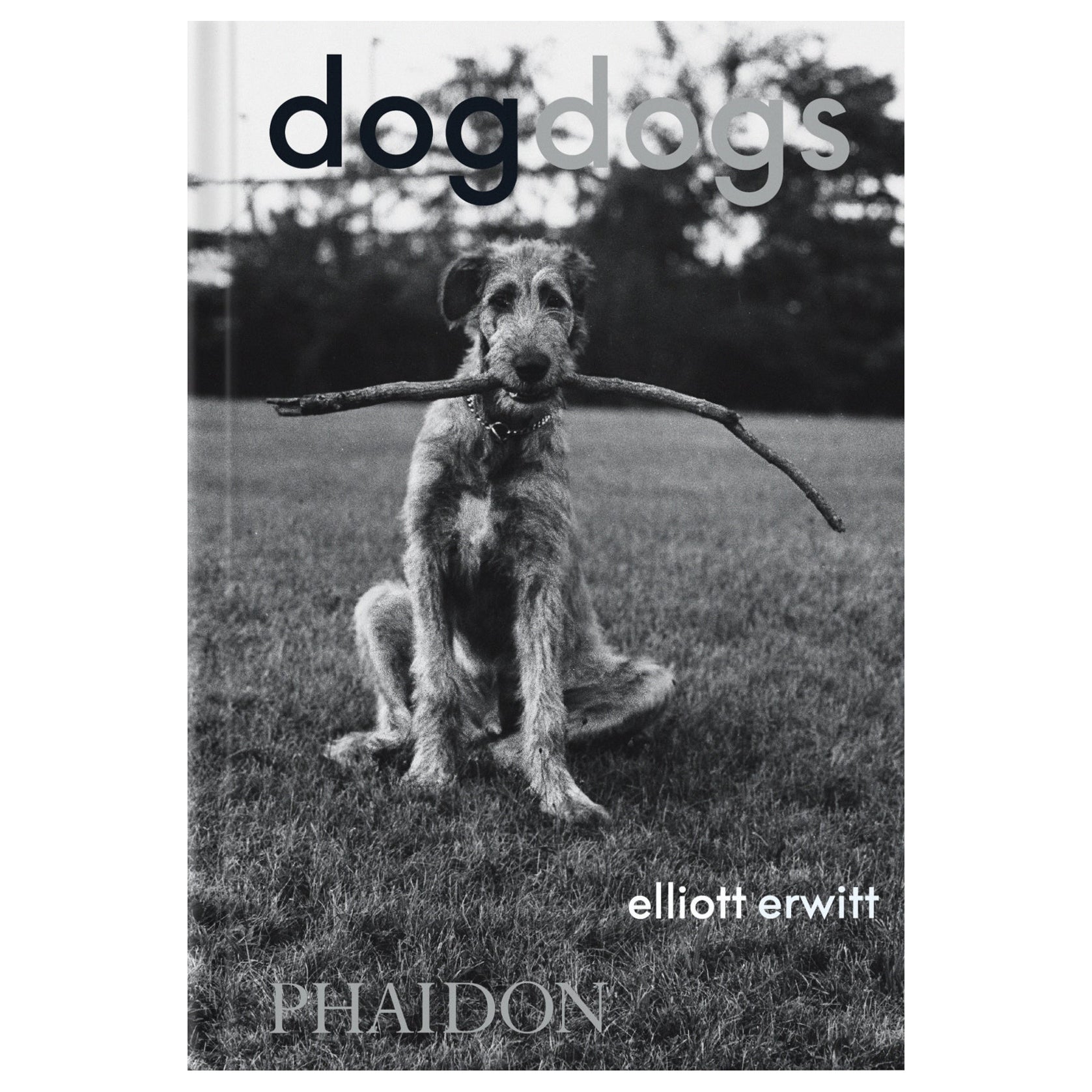 DogDogs For Sale