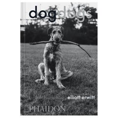 DogDogs