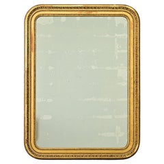 French 19th Century Gold Gilt Louis Philippe Mirror