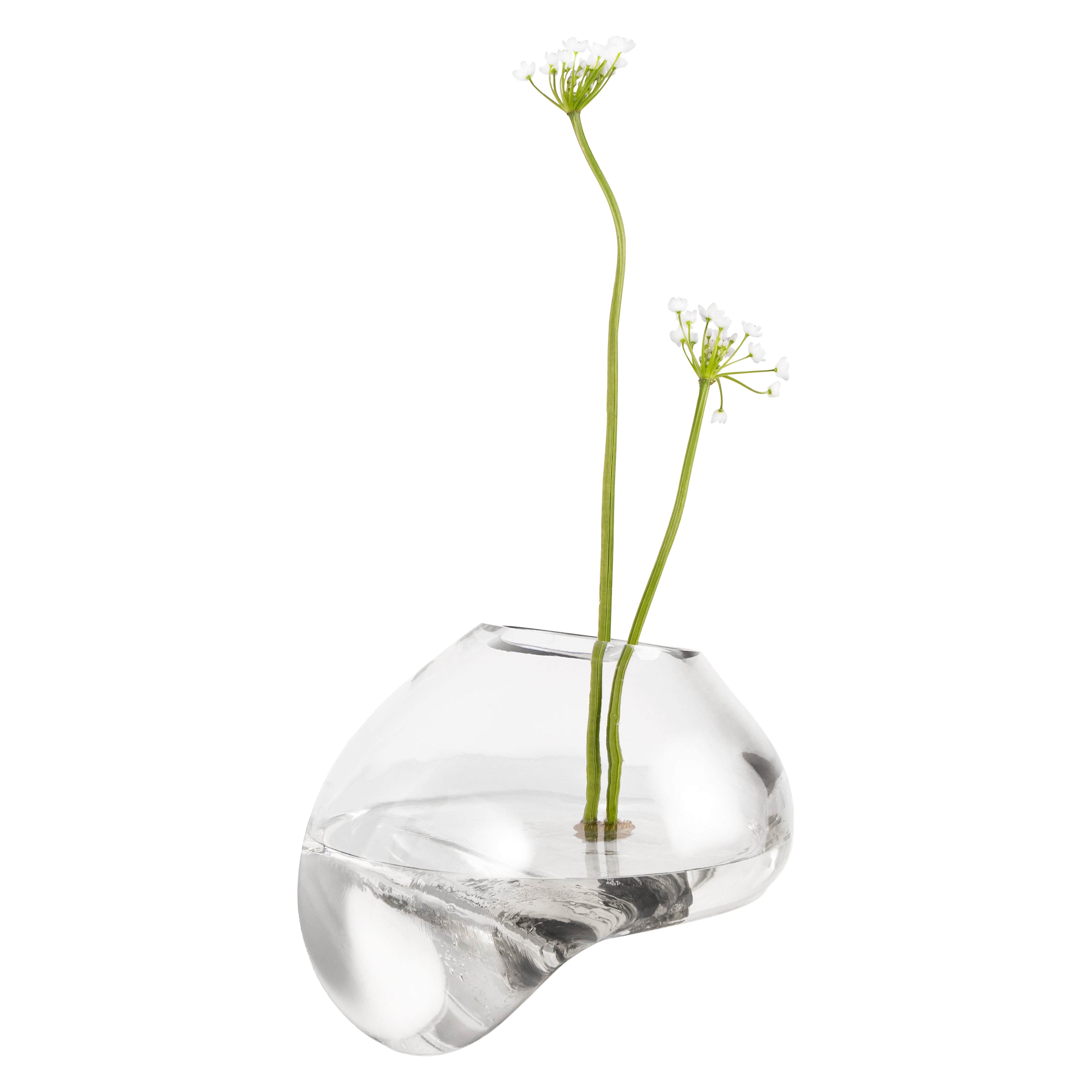 Vaso di gutta CS1 di NOOM