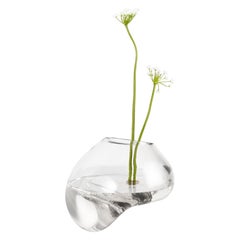 Vaso di gutta CS1 di NOOM