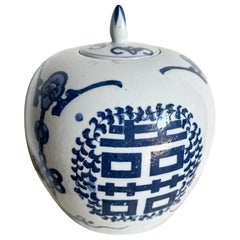 Chinese Blue and White Porcelain Ginger Jar