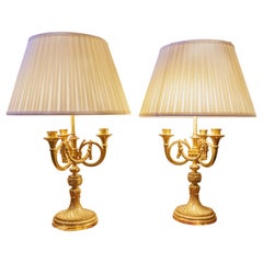 Une belle paire de bouillettes françaises en bronze doré  lampe. Moulage de haute qualité