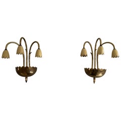 Mid-century 3-head Yellow Brass Pair of Sputnik Sconces, 1950s, Italy