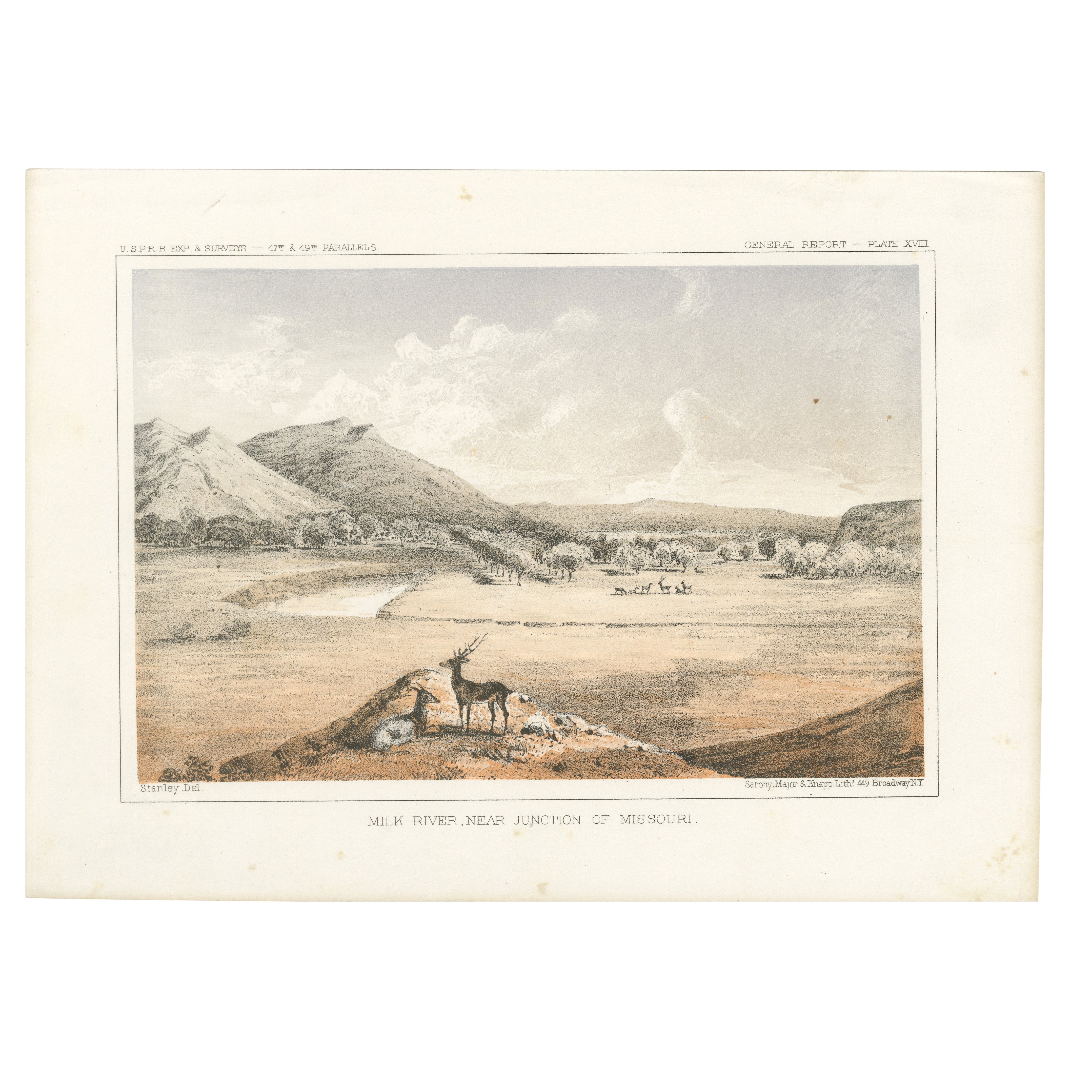 Vista panoramica del fiume Milk e della giunzione del Missouri con la fauna selvatica - Litografia 1856