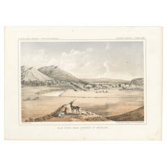 Vista panoramica del fiume Milk e della giunzione del Missouri con la fauna selvatica - Litografia 1856